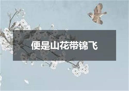 便是山花带锦飞