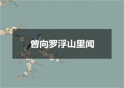 曾向罗浮山里闻