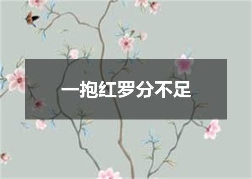 一抱红罗分不足