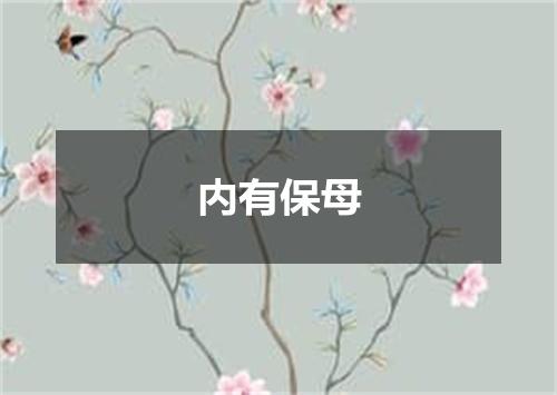 内有保母