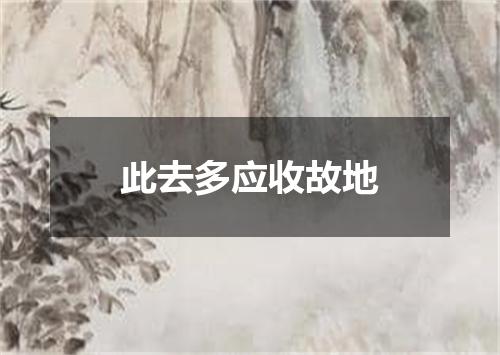 此去多应收故地