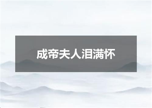 成帝夫人泪满怀