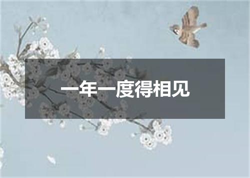 一年一度得相见