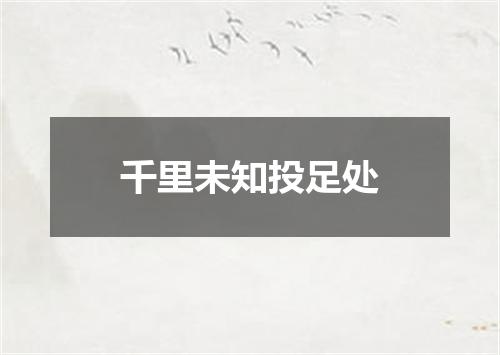 千里未知投足处