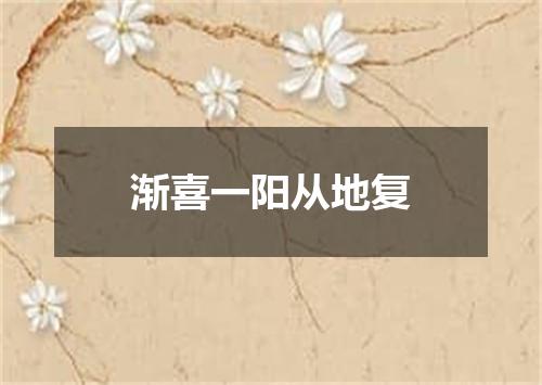 渐喜一阳从地复