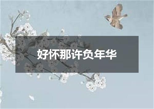 好怀那许负年华