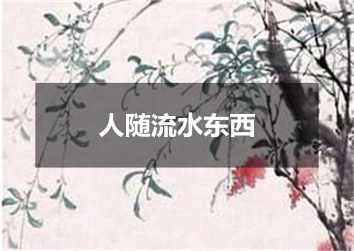人随流水东西