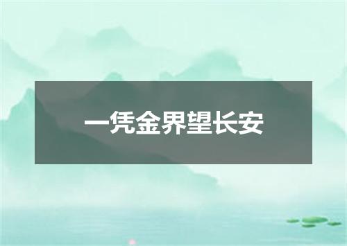 一凭金界望长安