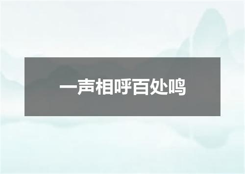 一声相呼百处鸣