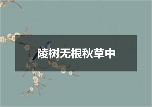 陵树无根秋草中