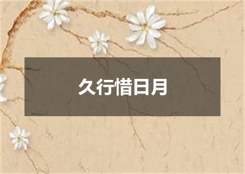 久行惜日月