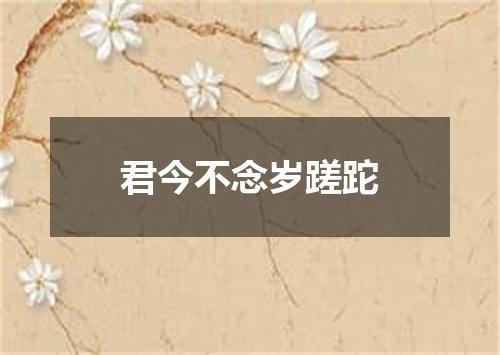 君今不念岁蹉跎