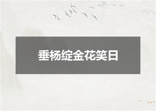 垂杨绽金花笑日