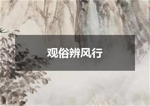 观俗辨风行