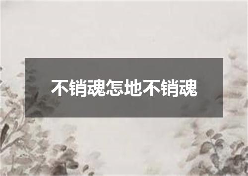 不销魂怎地不销魂