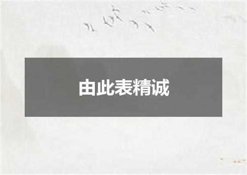 由此表精诚