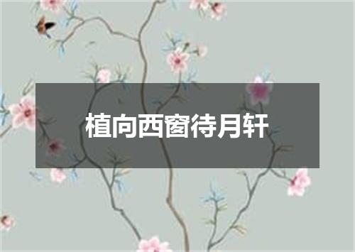 植向西窗待月轩
