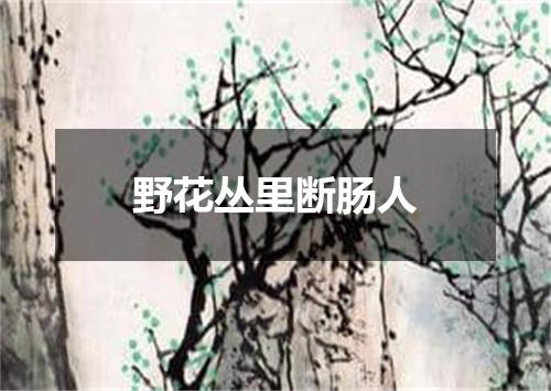 野花丛里断肠人