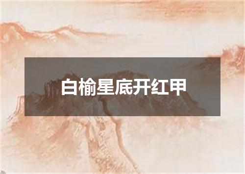 白榆星底开红甲