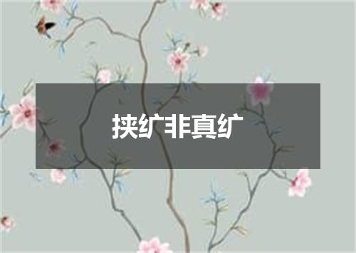 挟纩非真纩