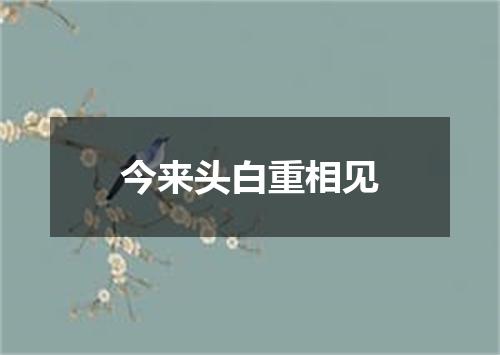 今来头白重相见