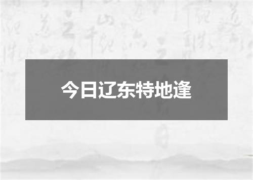 今日辽东特地逢