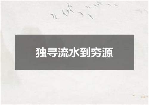 独寻流水到穷源