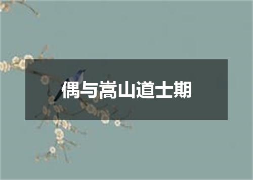 偶与嵩山道士期