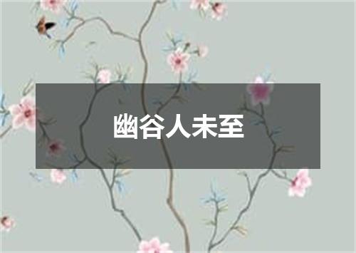 幽谷人未至