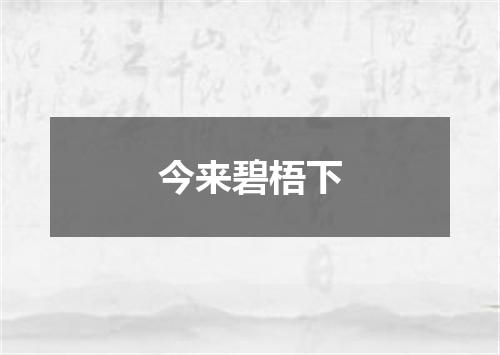 今来碧梧下