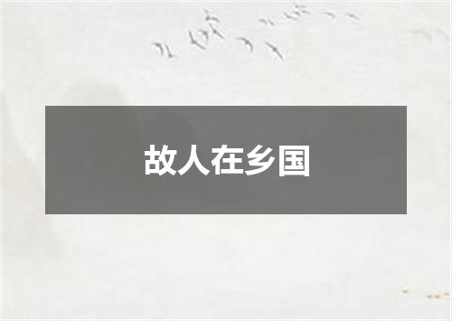 故人在乡国