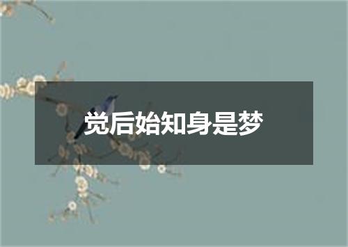 觉后始知身是梦