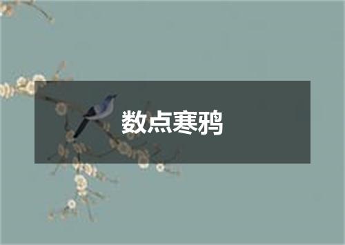 数点寒鸦