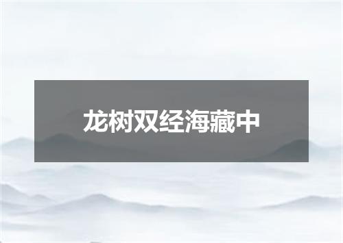 龙树双经海藏中