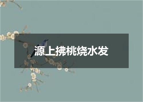 源上拂桃烧水发