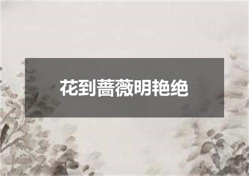 花到蔷薇明艳绝