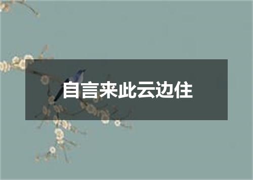 自言来此云边住
