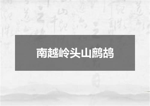 南越岭头山鹧鸪