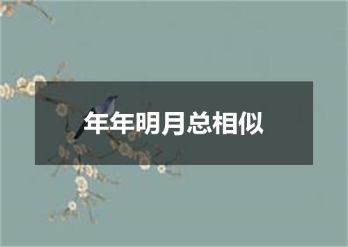 年年明月总相似