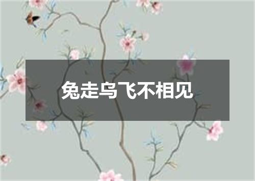 兔走乌飞不相见