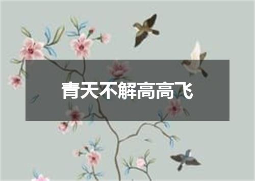 青天不解高高飞