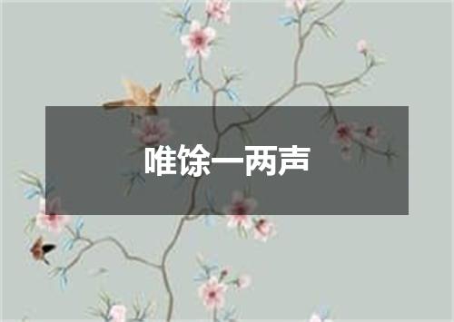 唯馀一两声