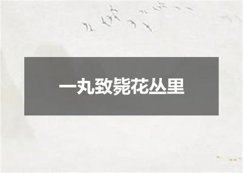 一丸致毙花丛里