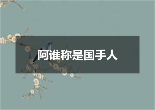 阿谁称是国手人