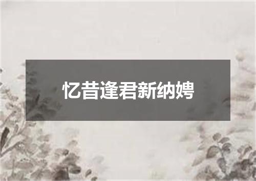 忆昔逢君新纳娉