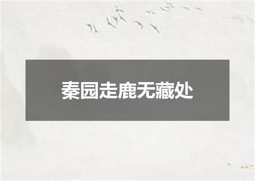 秦园走鹿无藏处