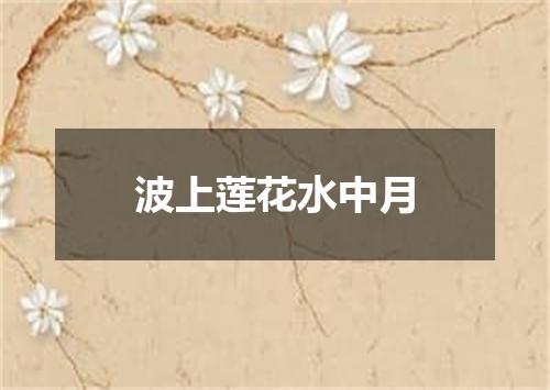 波上莲花水中月