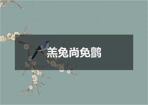 羔兔尚免鹯