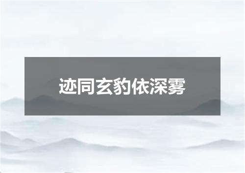 迹同玄豹依深雾