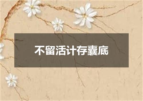 不留活计存囊底